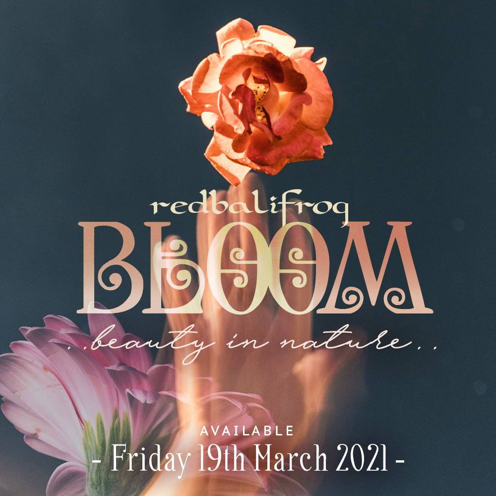 Redbalifrog Bloom Debuts