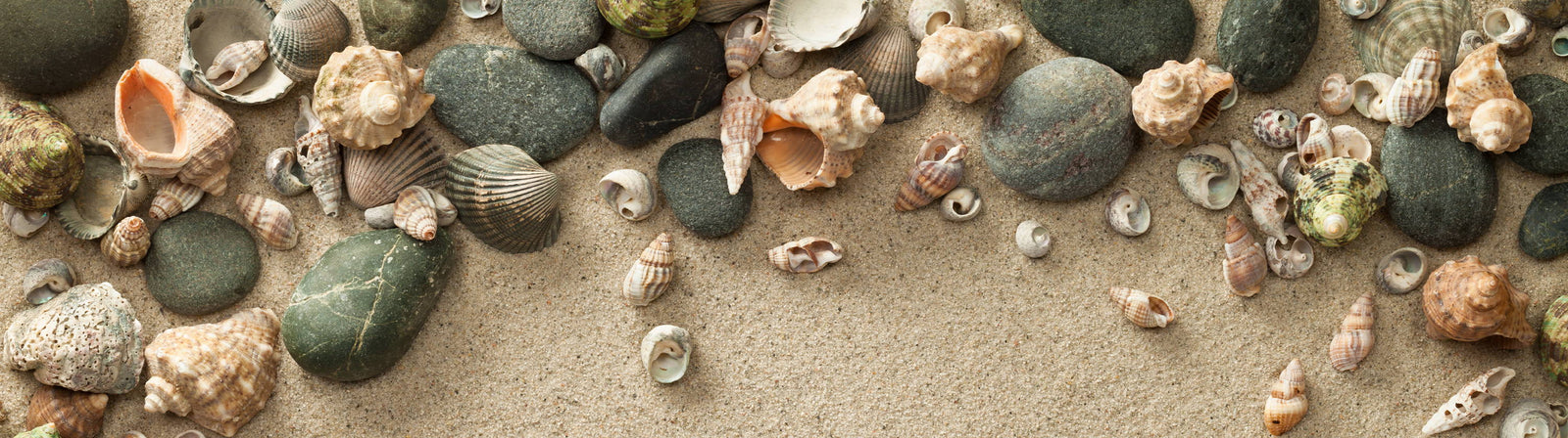 The Palace of Amber Sale