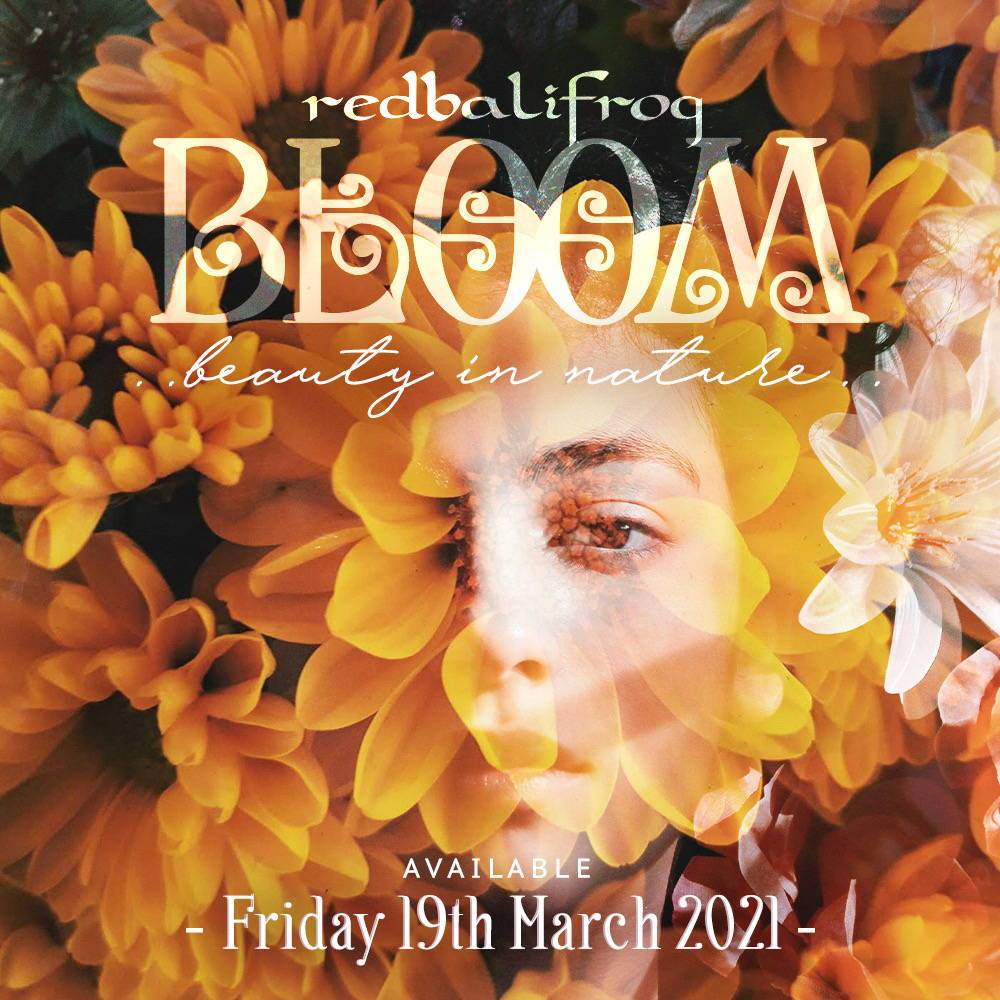 Redbalifrog Bloom is Coming