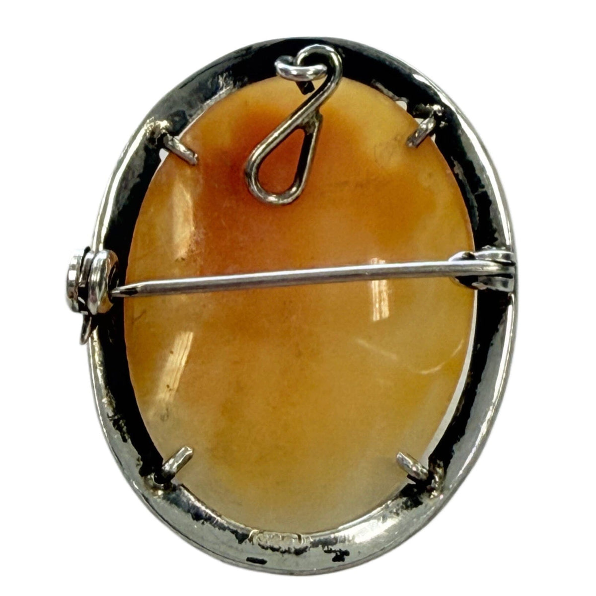 Great Lakes Coin Silver Cameo Pin / Pendant