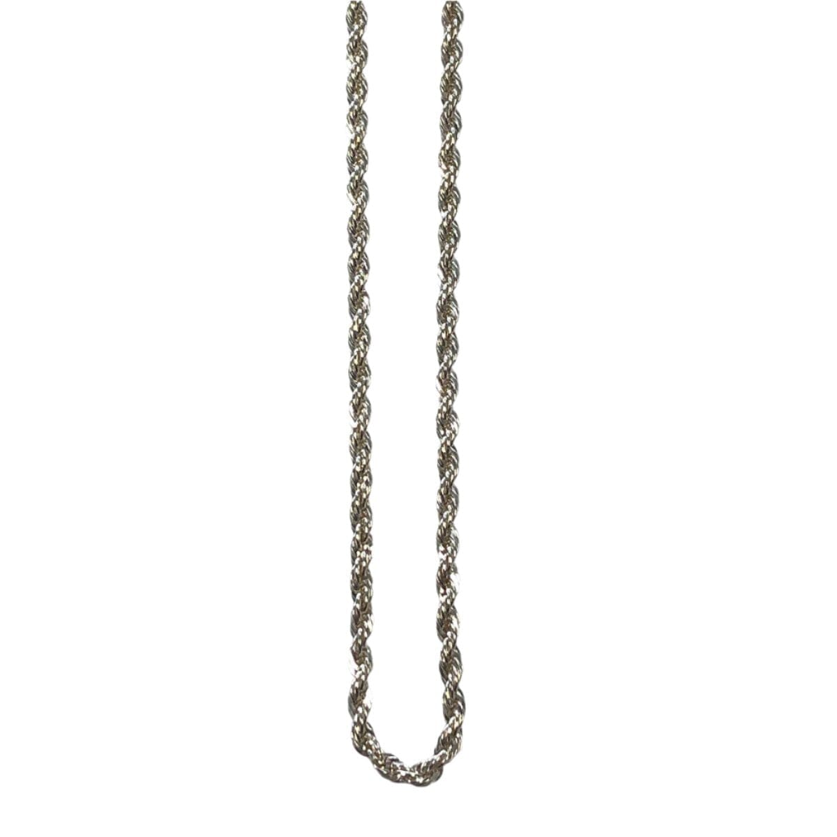 Great Lakes Coin Silver Rope Necklace