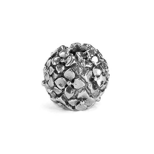 Redbalifrog Hydrangea