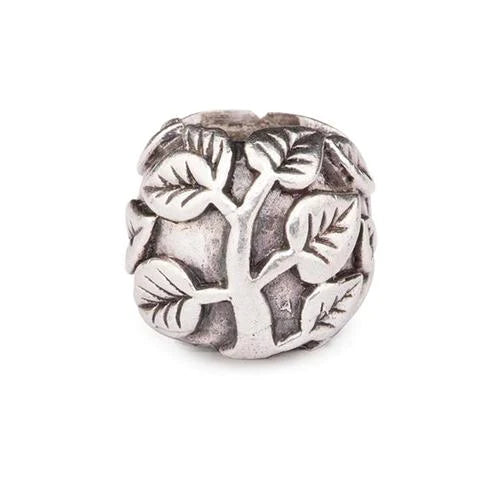 Redbalifrog Tree of Life