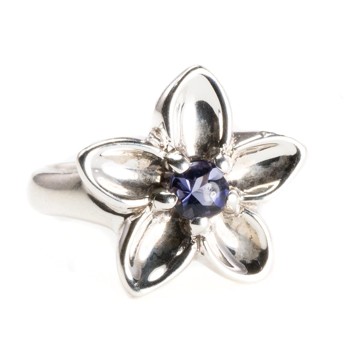 Great Lakes Boutique Tiffany &amp; Co Silver &amp; Tanzanite Ring