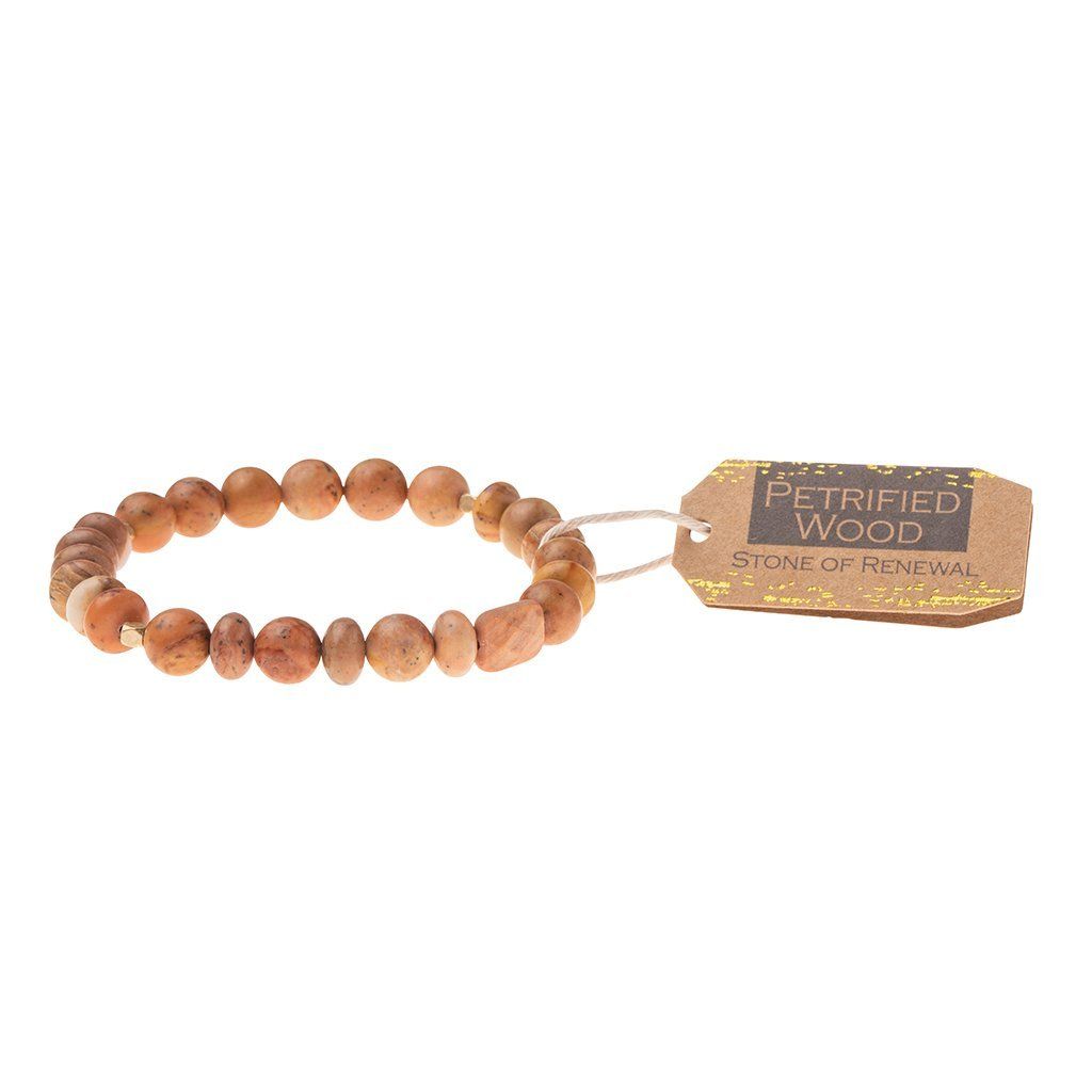 Scout Curated Wears Petrified Wood Stone Bracelet - Stone of Renewal (4284775989291)